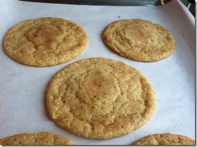 snickerdoodle 055