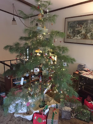 a home-grown white pine Christmas tree