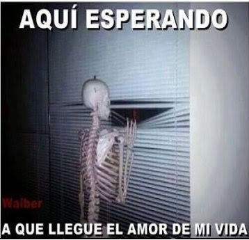 Imagenes chidas con frases de amor