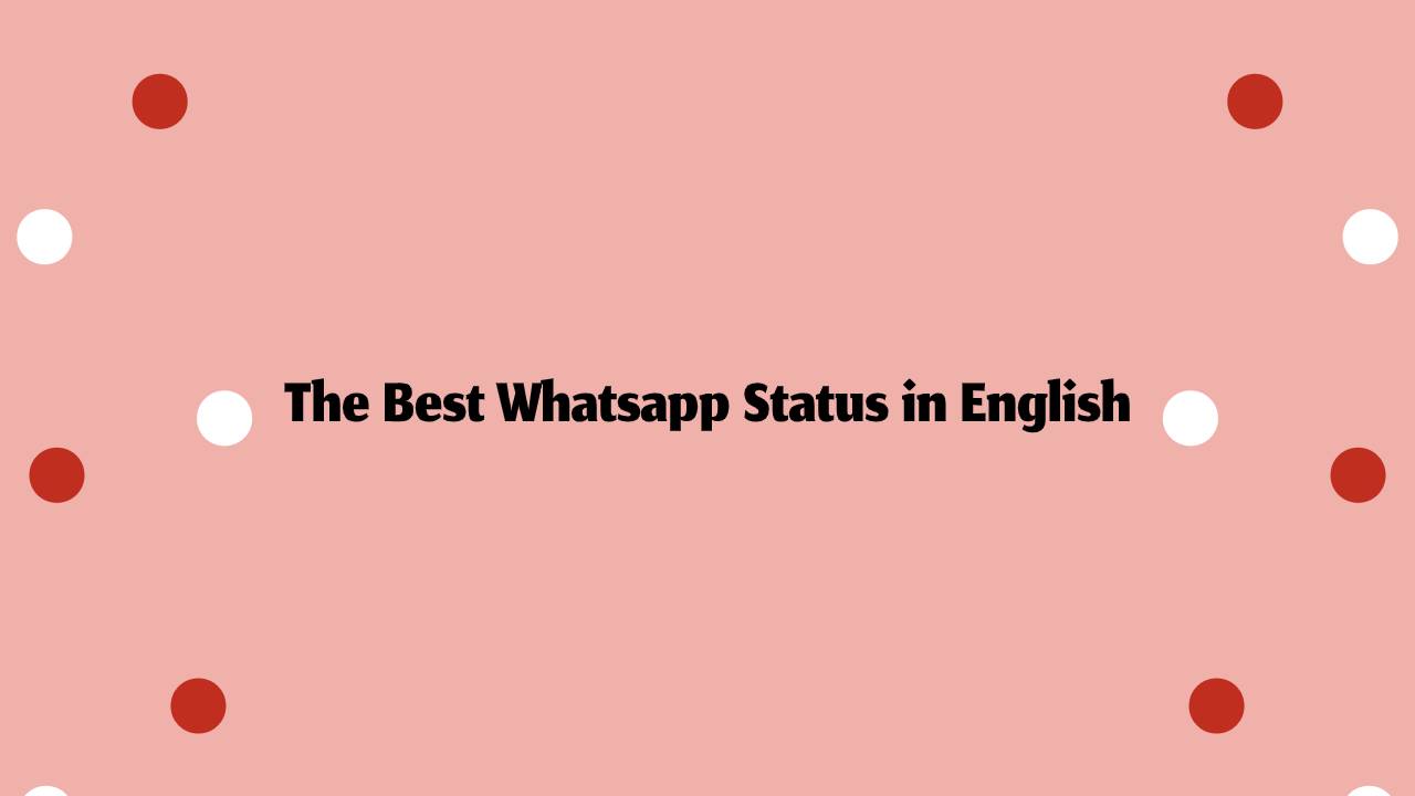 The Best Whatsapp Status in English | Status Exclusive