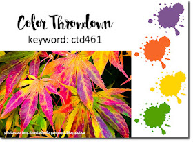 http://colorthrowdown.blogspot.com/2017/09/color-throwdown-461.html