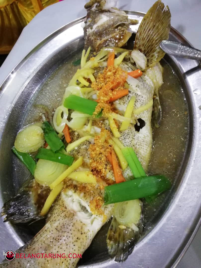 Syurga Makanan Laut Di Waterfront Seafood Night Market Kota Kinabalu