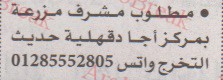 اهم وافضل الوظائف اهرام الجمعة وظائف خلية وظائف شاغرة على عرب بريك