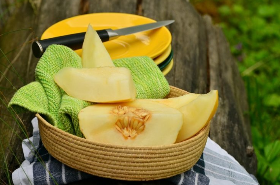 Muskmelon/ Cantaloupe/Kharbooja Benefits For Health, Skin,Hair