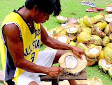 Lugit man shelling coconuts  Siargao Island, NE Mindanao, Philippines