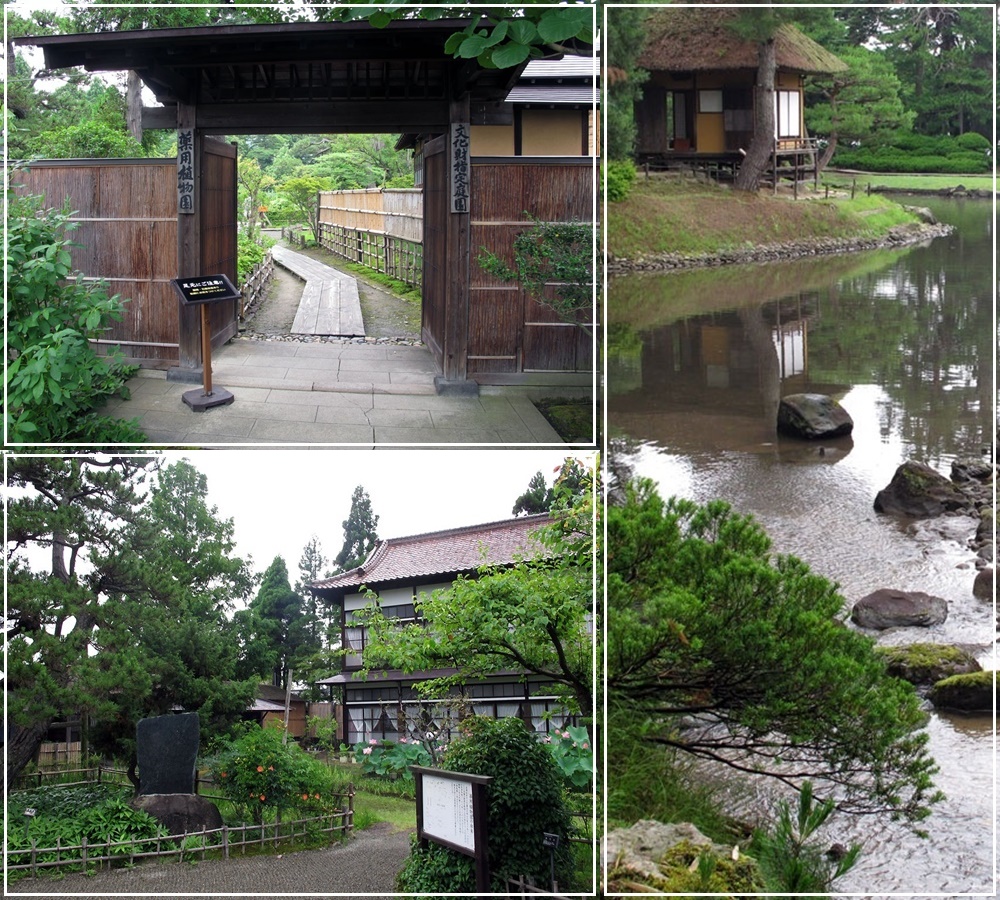 สวนโอยะคุเอ็น (Oyakuen Garden: 御薬園)