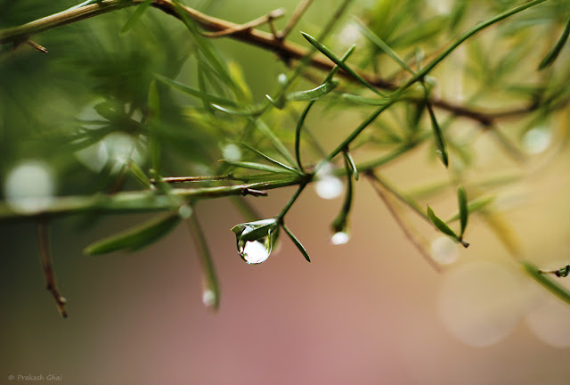 Minimalist Photo of Water Droplet on Pink And Green Background