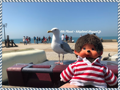 étretat, normandie falaise kiki monchhichi goéland mouette plage