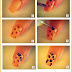 Nails Art Tutorials :