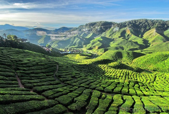 64+ Baru Gambar Pemandangan Alam Beserta Ceritanya, Gambar Pemandangan