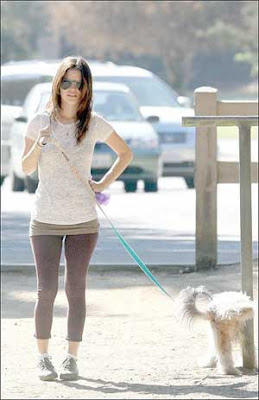 Rachel Bilson Dog Walking Pictures