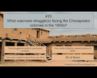 What was/were struggle(s) facing the Chesapeake colonies in the 1600s? Answer choices include: They struggled to profit in a joint-stock company. Poor health & fighting caused problems & death. They were unable to grow their own food. All of these.