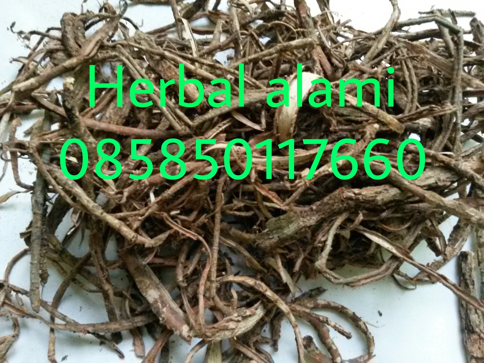 JUAL SEGALA MACAM HERBAL ATAU JAMU SURABAYA: ONLINE SHOP 