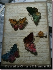 French Butterflies