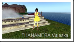 Snapshot_080