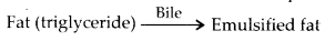 Solutions Class 11 Biology Chapter -16 (Digestion and Absorption)