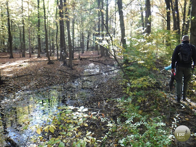 Swamps in Tallman Mountain State Park