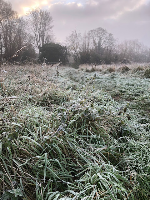 Chez Maximka, winter in Oxfordshire