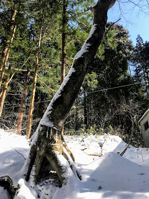 【北西へ吉方位旅行】落ち着いたリゾートの谷川温泉で源泉かけ流し