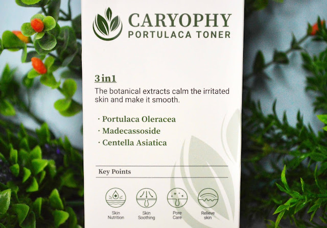 CARYOPHY Portulaca Toner & Portulaca Cleansing Foam review