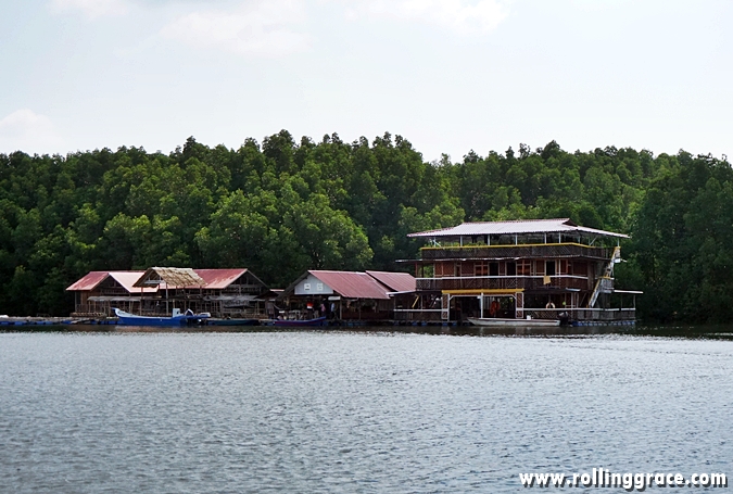 Bakau Hijau Sungai Merbok, Kedah