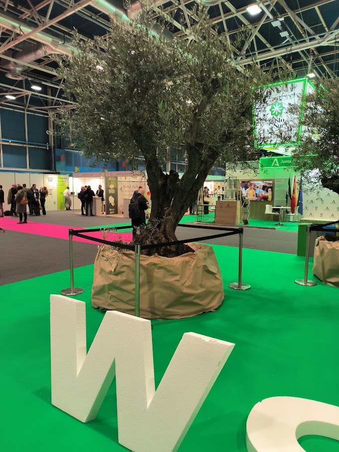 World Olive Oil Exhibition 2024: el éxito de los AOVEs