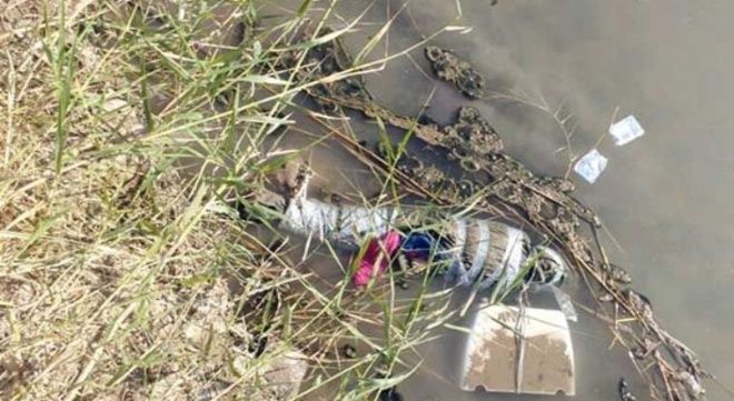 Hallan a niñita 'embolsada' flotando sobre el río de Mexicali