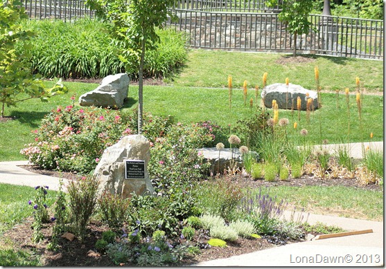 EJC_Pond_Beds