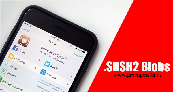 How To Save SHSH2 To Upgrade And Downgrade Your iOS Before iOS 10.1.1 Jailbraek Release