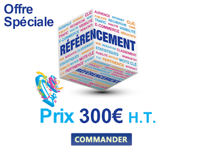 Offre spéciale référencement 