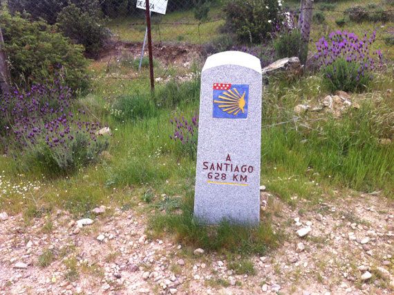 Ruta de Madrid a Segovia por el Camino de Santiago. Sábado 28 de junio 2014
