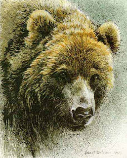 Grizzly Bear Portrait, 1991