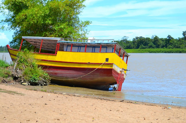 Guyane, Mana, église saint-Joseph, Javouhey