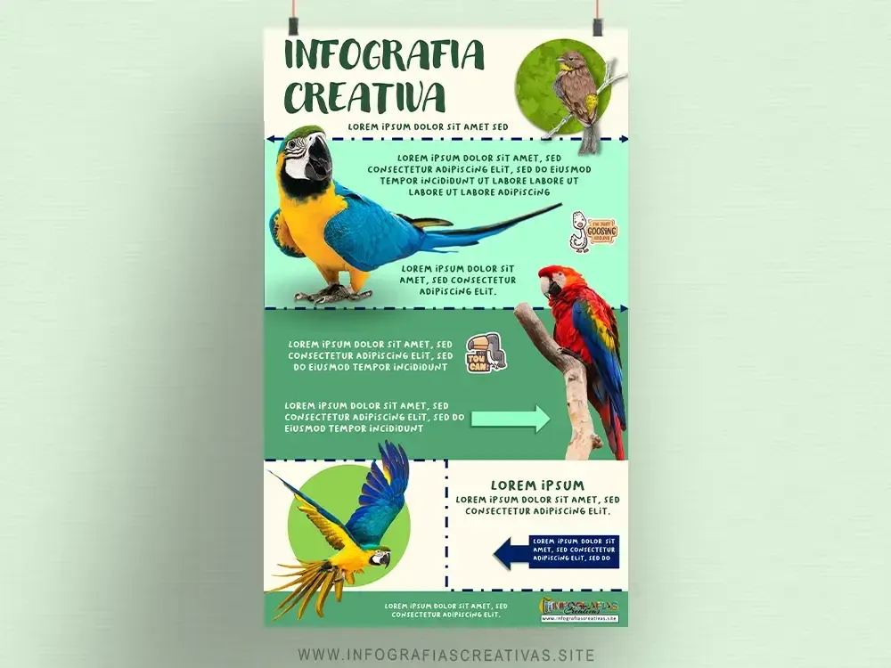 Infografía Creativa y Tropical con Ilustraciones de Aves