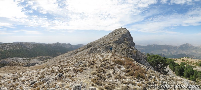 Aguilón del Loco