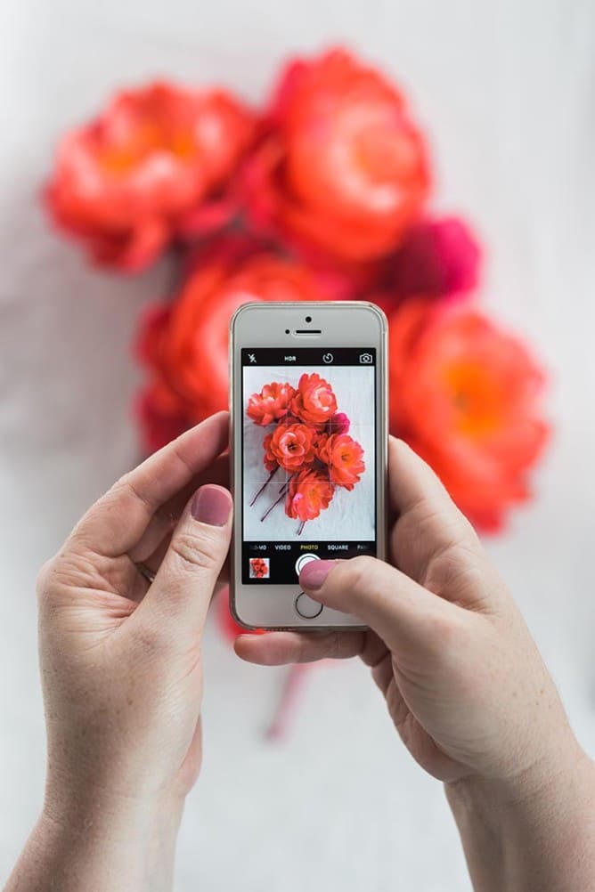 DIY Coral Charm Peony Paper Flowers