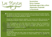 http://nea.educastur.princast.es/repositorio/VIDEOS/1_nea_colab01_plantas.swf