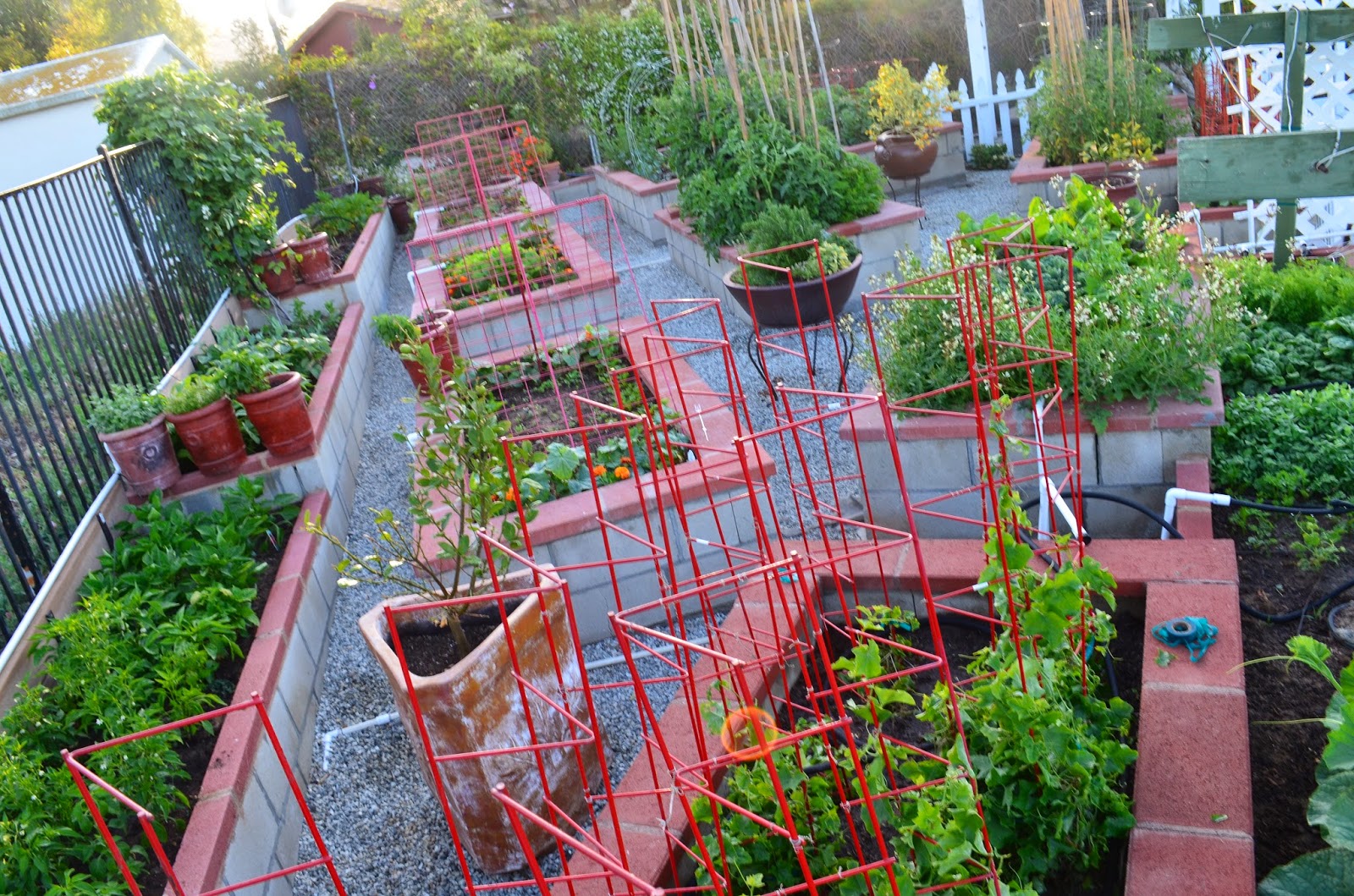 Great Backyard Vegetable Garden Ideas