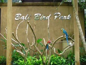 Bali Bird Park