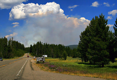 800px Wildfire in Yellowstone NP produces Pyrocumulus cloud Fenomena Fenomena Alam yang Paling Sulit Ditemukan