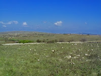 Panorama murgiano