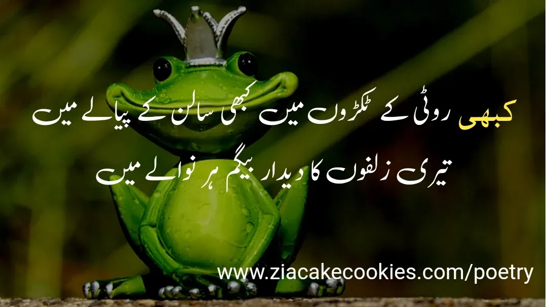 funny shayari in urdu