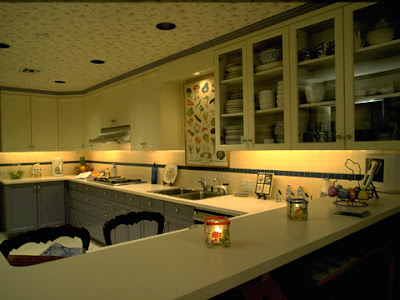 Under cabinet kitchen lighting