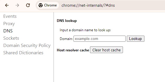 Clear DNS Cache on Chrome: How to Remove Outdated Entries using chrome://net-internals/#dns"