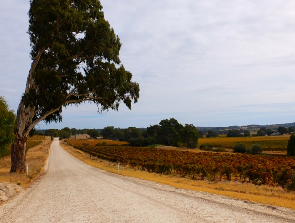 Wishful Thinking - South Australia