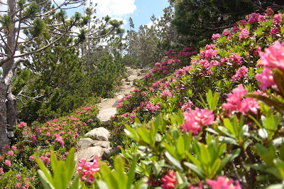 sentier au dessus de Castella