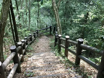 清和県民の森キャンプ場