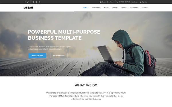 Download Assan - Clean MultiPurpose Bootstrap Template v1.5