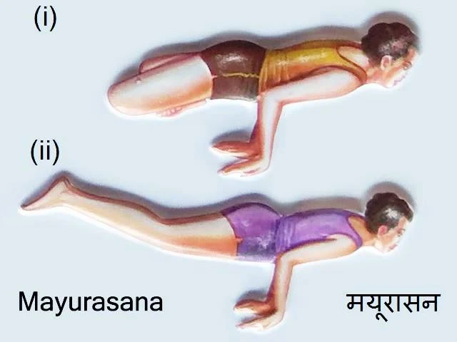 Mayurasana: Mayurasana in Hindi