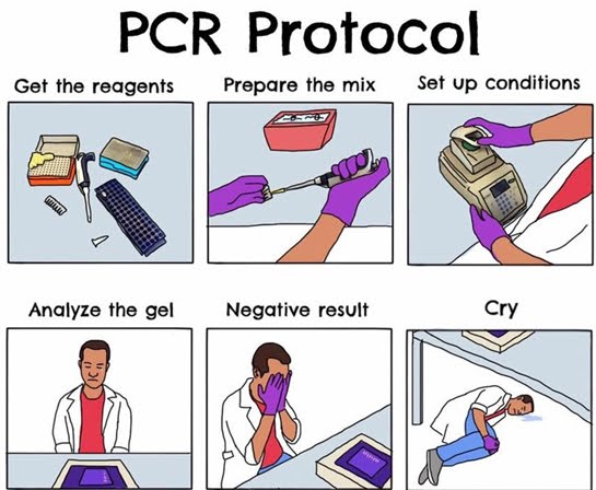 Today Science Humor 10 : PCR Protocol